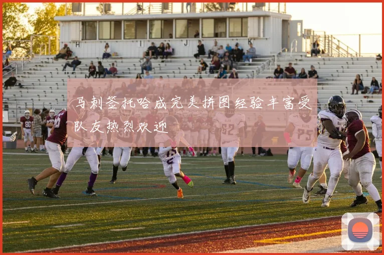 马刺签托哈成完美拼图经验丰富受队友热烈欢迎